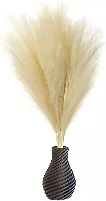 Faux Pampas Grass 3 Pieces (Cream Beige Color).43 (110cm)Artificial Pampas Grass • $9.99