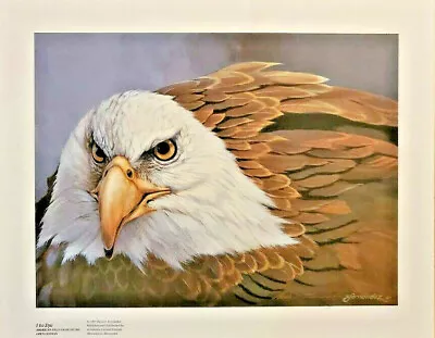 American Bald Eagle Signed PRINT Mario Fernandez Legal Bird • $44.95