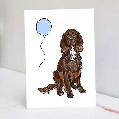 Chocolate Cocker Spaniel With White Bib Birthday Card • £3.55