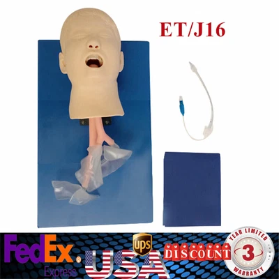 $195 • Buy Manikin Teaching Study Child Intubation Model Airway Management Trainer & Tube