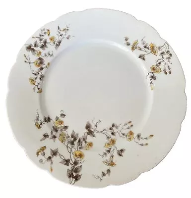 Pair CH Haviland Limoges France Yellow  Morning Glory Dinner Plates 9  Dia • $36.99