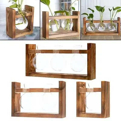 £11.99 • Buy Wall Hanging Plant Propagation Station Glass Planter Test Tube Vase With Wooden