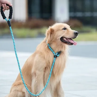 Slip Lead For Dogs Long Anti Pull Halti Training Lead Rope For Medium Large Dogs • £13.99