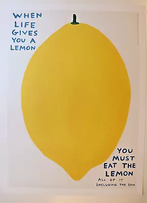 David Shrigley - When Life Gives You A Lemon Offset Lithograph Print ORIGINAL • £185