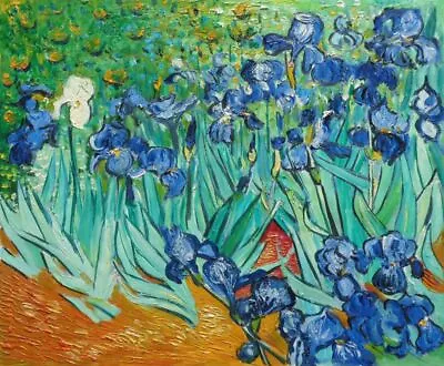 20x24 Irises By Van Gogh Oil Painting Post Impressionism Flower • $61