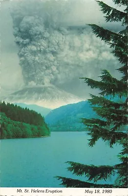 Mount Saint Helens WA Washington Eruption May 18 1980 Vintage Postcard • $6.39