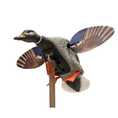 Mojo Outdoors  MOJO Mallard® Elite Series™ - Mini Mallard Drake W/ Remote • $119.99