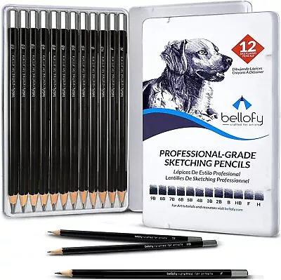 Drawing Sketch Pencils 12 Piece Professional Artist Graphite Shading Art Tools  • $7.99