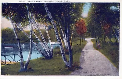 Moosic Lake Birch Lined Drives Pennsylvania Postcard • $7.98