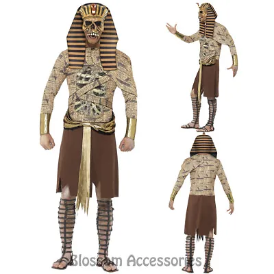 CL900 Zombie Pharaoh Egyptian Mummy Ancient Mens Horror King Tut Fancy Costume • $74.73