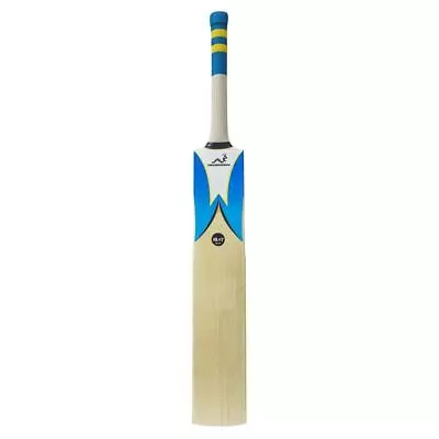 Woodworm Cricket IBat Select Grade 1 Cricket Bat • $349.95