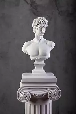 Large David Bust Statue 42 Cm / 16.5  David Bust Sculpture Greek Statue • $149