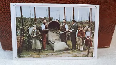 Nostalgia Postcard - Country Life -  Hop Picking • £2.25