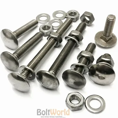 M5 A2 Stainless Steel Cup Square Carriage Bolts Coach Screws Washers Full Nuts • £4.61