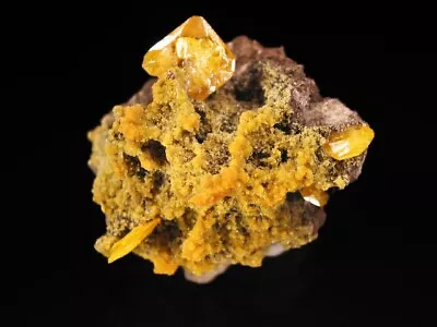 WULFENITE With MIMETITE- San Francisco Mine Sonora Mexico Specimen Crystals • $165