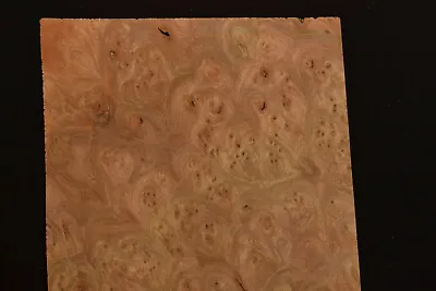 Elm Burl Wood Veneer Sheet 7 X 9.5  Inches 1/42nd                        1995-91 • $9.99