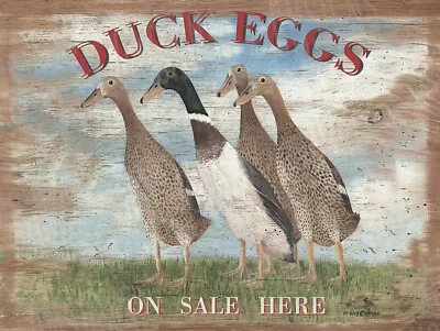 Duck Eggs Metal Sign FREE SHIPPING Country Home Decor • $18.99