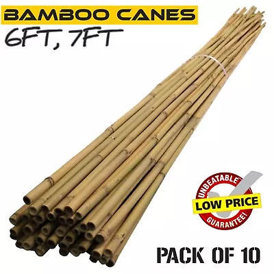 6FT 7FT Bamboo Canes Strong Heavy Duty Stick Plant Support Garden Stake • £11.99