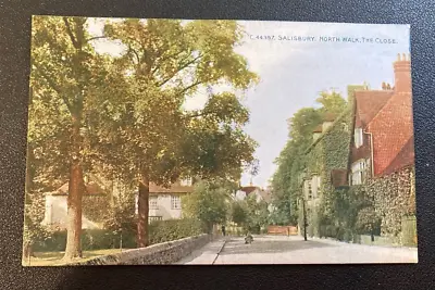 Wiltshire Old Postcard. Salisbury North Walk The Close. Unused. • £3