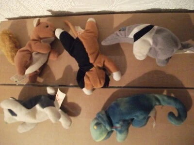 £2.99 • Buy 5x Small Ty Beanie Babies Sqirral Cat +lizard