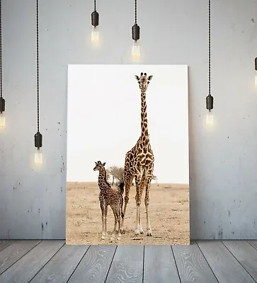 Baby  Giraffe - Deep Framed Canvas Wall Art Picture Print- Animal Safari • £29.99