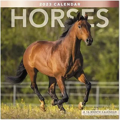 $15.95 • Buy Horses - 2023 Wall Calendar - Brand New - Lme159