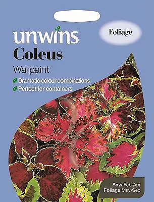 Unwins Pictorial Packet - Flower - Coleus Warpaint - 55 Seeds • £2.49