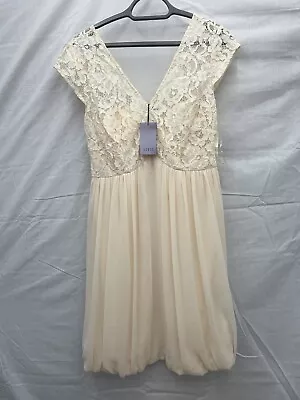 Stunning Coast Mandy Dress - Champagne Size 12 NWT RRP £125 • £26.99