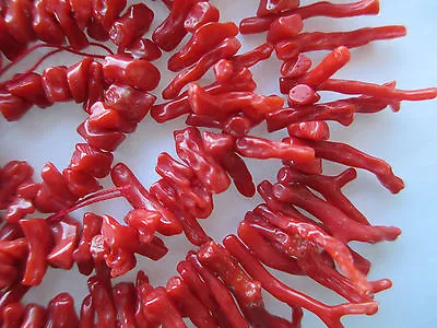 Natural Mediterranean Branch Coral Beads - Graduated 19  Strand - 7 To 25mm • $39.99