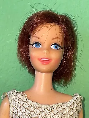 Vintage Barbie Brunette Tnt Casey • $109.99