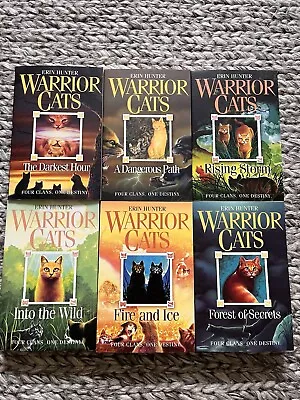Warrior Cats 6 Paperback Book Series 1 - The Prophecies Begin NEW • £13.99