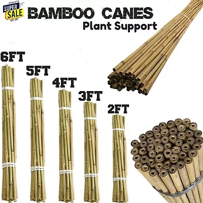 Bamboo Canes Heavy Duty Thick Pole Strong Plant Garden Support Cane Sticks • £4.99