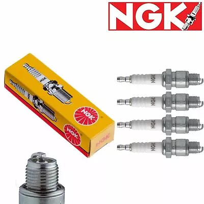 4 Pc NGK Standard Spark Plugs 2460 BKR5ES 2460 BKR5ES Tune Up Kit Vw • $16.99