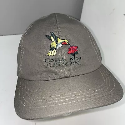 Vintage Costa Rica Limon Hat Cap Gray Hummingbird Flower Strap Back Vacation • $8.88