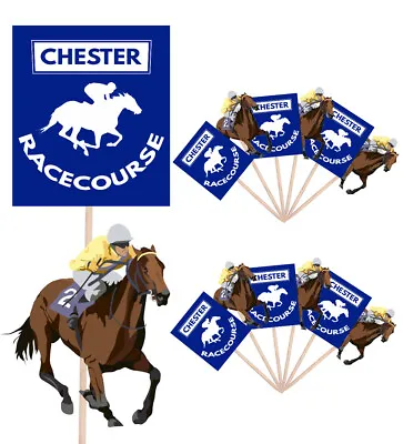 Chester Horse Racing Themed Cupcake  Food Cake Decorations Picks Toppers 14 Pack • £5.99