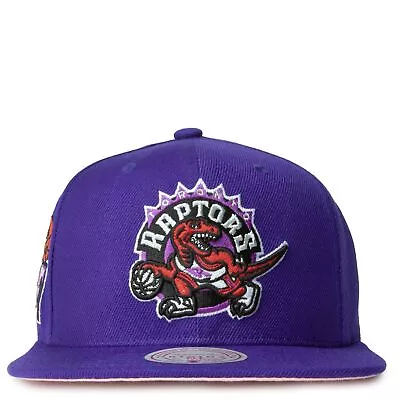 Mitchell & Ness Purple NBA Toronto Raptors All Love HWC Snapback - OSFA • $35.65