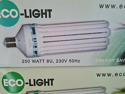 CFL Eco-Light  250W Lamp/Bulb • £20