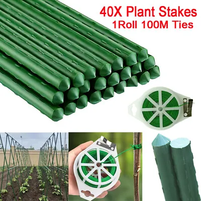 Set Of 40 Plastic Coated Metal Garden Plant Support Sticks + 100M Ties Wire UK • £16.96