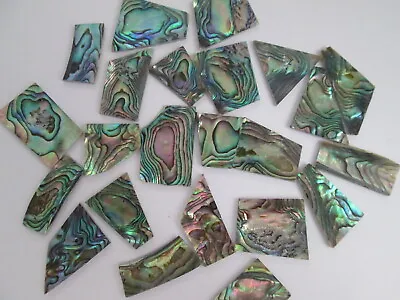 1oz Green Paua Abalone Shell Blanks.060  Thickness.13-18 Inlay Material Pieces  • $24.95