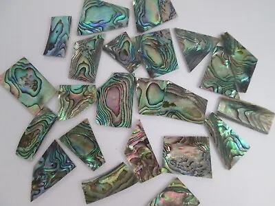 2oz Green Paua Abalone Shell Blanks.060  Thickness.24-36 Inlay Material Pieces  • $44.95