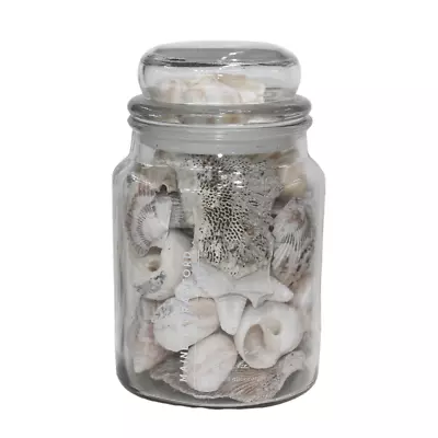 Dried Shells Mixed In Vintage Style Glass Bottle 16cm Jar Beach House Decor      • $42