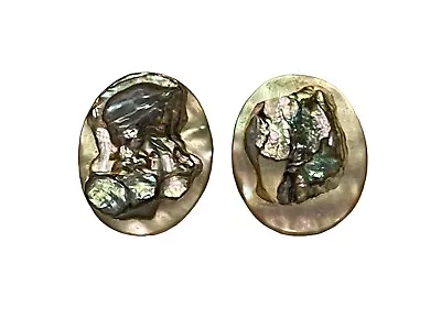 Abalone Shell Disc Earrings Stud Earrings Natural Lightweight Abalone Shell  • $19.99