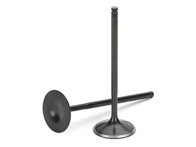 Supertech INTAKE Valves Dish Face Standard Size K20 K20A K20A2 K20Z1 HIVN-1020D • $150.89