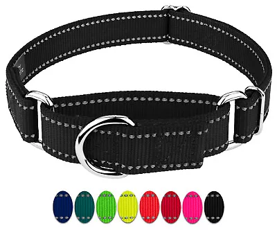 Country Brook Petz® Reflective Nylon Martingale Dog Collar • $11.97