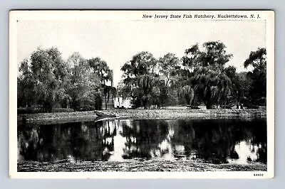 Hackettstown NJ-New Jersey New Jersey State Fish Hatchery Vintage Postcard • $7.99