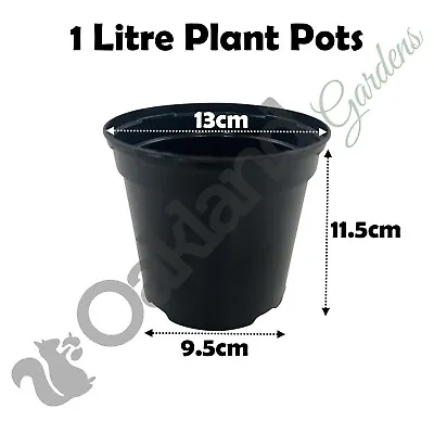 Strong Black Plastic Plant Pot Flower Pots 1 To 20 Litre Garden Planter Herb • £5.45