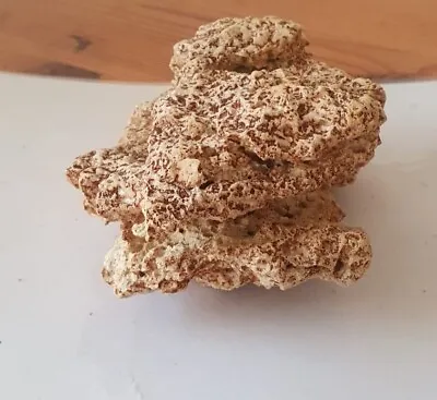  Natural Marine Rock (dried ) • £4