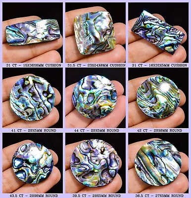 Natural Abalone Shell Gemstone Loose Cabochon From New Zealand • $6.99