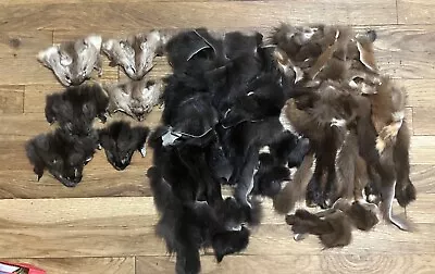 Sable Pine Marten Fur Pieces And Faces For Trim Or Fly Tying Several Ouncea Tan • $60