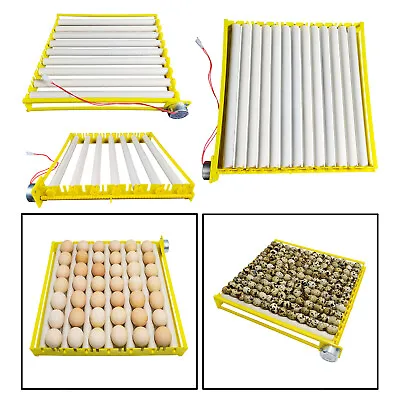 Plastic Egg Incubator Tray Automatic Egg Turner For   Quail • $22.32